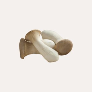 King Oyster Mushroom
