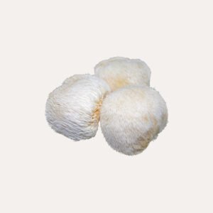 Lion’s Mane Mushroom
